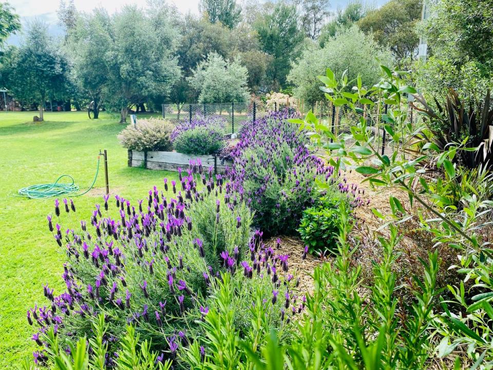 9384B Henry Parkes Way, Parkes, NSW 2870, Australia