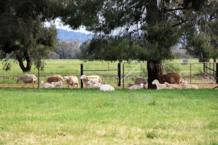 9384B Henry Parkes Way, Parkes, NSW 2870, Australia