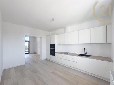 Brusselsesteenweg  429 0201, Zellik, ベルギー