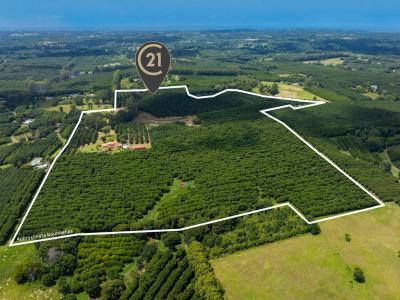 269 Alphadale Road, Lindendale, NSW 2480, Australia