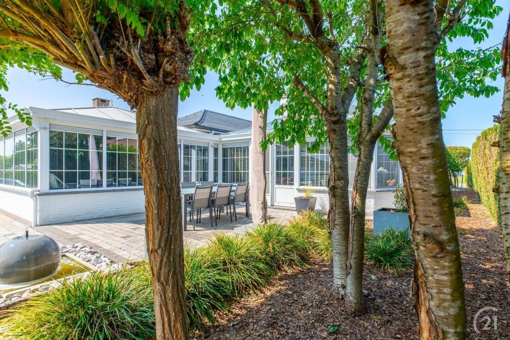 Hoge Jan 30, Buggenhout, Belgium