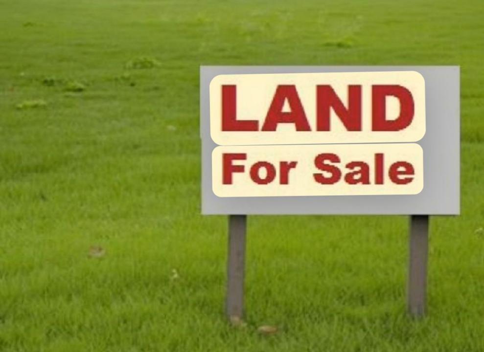 Lot 54 Purposed Rd, Grantham Farm, NSW 2765, Australia