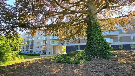 Binnenweg 24 0101, Avelgem, Belgium