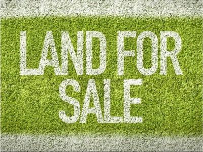 Lot1901/990 Picton Road, Wilton, NSW 2571, Australia