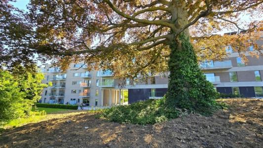 Binnenweg 28 0402, Avelgem, Belgium