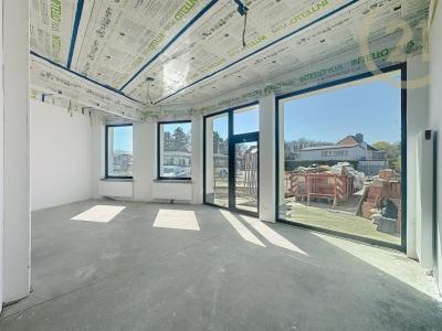 Brusselsesteenweg  429 0001, Zellik, ベルギー