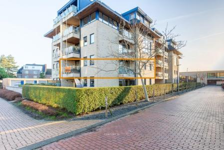 Riethof  8 0202, Oudenaarde, بلجيكا 