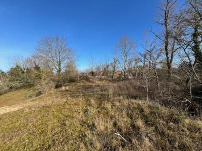 C. Permekelaan 35, Sint-idesbald, Bélgica