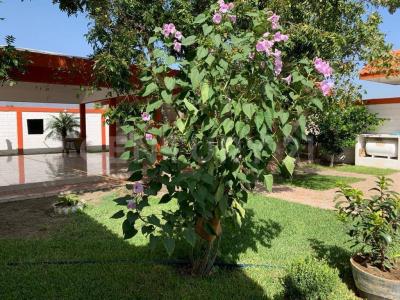 Salinas Victoria, Nuevo León 65500, Mexico