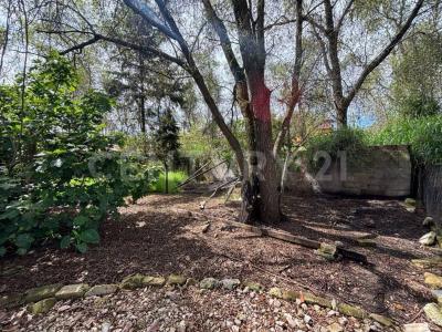 Privada Trinimary 48, San Cristóbal De Las Casas, Chiapas 29250, Mexico