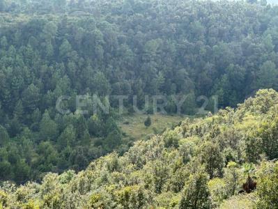 Innominada, Rancheria el Manzanillo, al Sur de San Cristobal S/N, San Cristóbal De Las Casas, تشياباس 29290, المكسيك