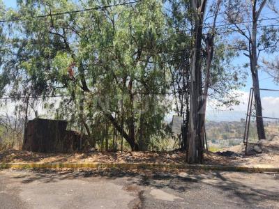 Acueducto de Zacatecas , Naucalpan, Estado De México 53296, Mexico