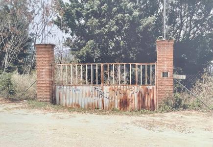 Manuel Ávila Camacho S/N Local 67 Lt2 Mz156, Oaxaca De Juárez, 瓦哈卡 68274, 墨西哥