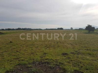 Terreno en venta en Atlixco, 10,000 m2, zona Tenextepec. Atlixco Pue. 1, Atlixco, Puebla 74200, Meksyk