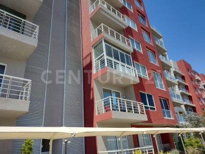 Ignacio Aldama Cond. Roble, Mz. 1, Lt. 1, Depto. 503, Ecatepec De Morelos, מקסיקו 55070, מקסיקו 