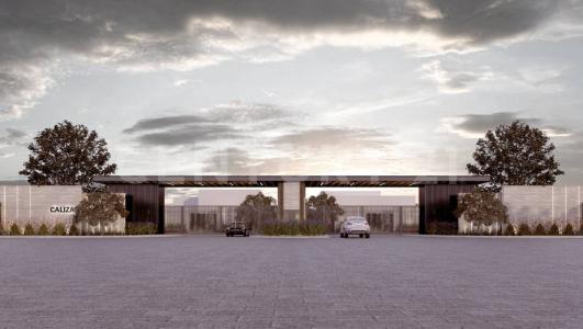 Cactus 100, Arteaga, Coahuila 25369, Messico