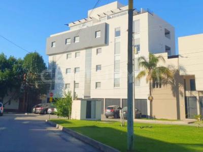 Rincón de los Sauces , San Luis Potosi, San Luis Potosi 78217, Mexique