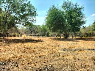 calle cedro 30, Villa De Álvarez, Colima 28965, Meksyk