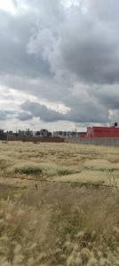 La Tercería 176, Morelos, Zacetecas 98101, México