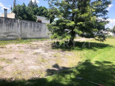 19 poniente 0, San Andrés Cholula, Puebla 72810, Meksika