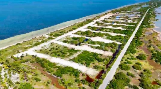 MINA DE ORO 2, Dzidzantun, ユカタン 97504, メキシコ