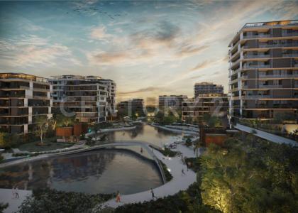 Calle 24 S/N, Mérida, Yucatan 97305, Mexico