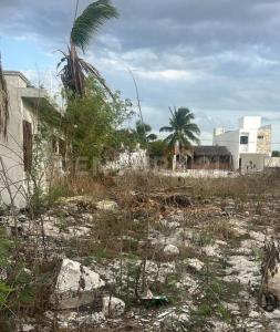 Progreso, 尤卡坦 97330, 墨西哥