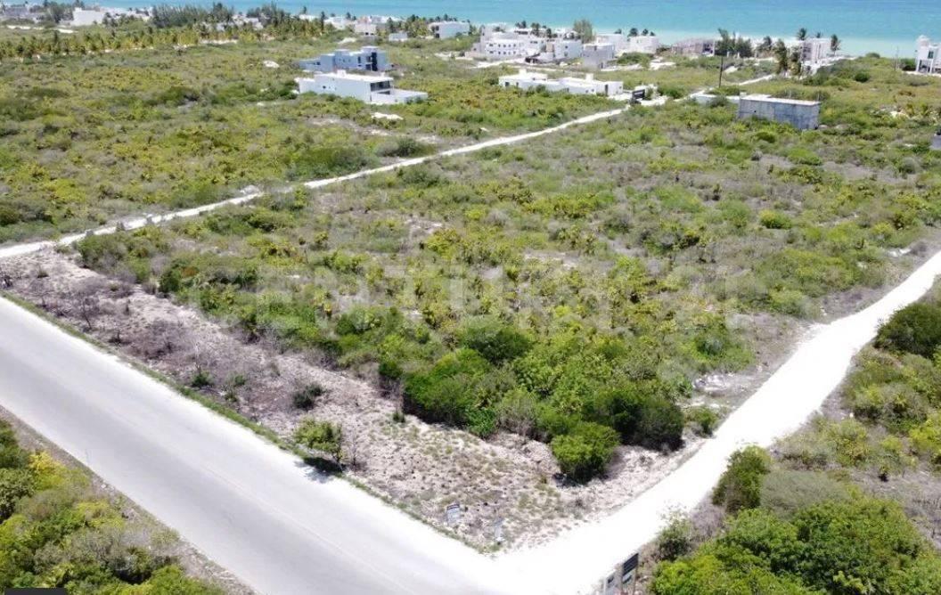 sin numero 5455, Dzemul, Yucatán 97404, Mexiko