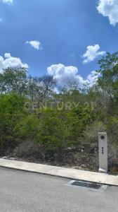 RESIDENCIAL PARQUE CAUCEL sn, Hunucma, 尤卡坦 97350, 墨西哥