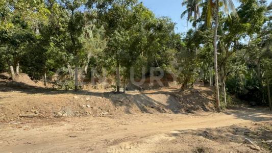 Punta Negra 1B, Puerto Vallarta, 哈利斯科 48390, 墨西哥