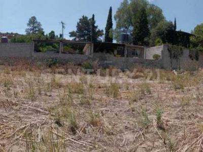 Tepantitla S/N, Texcoco, Bang México 56240, Mexico