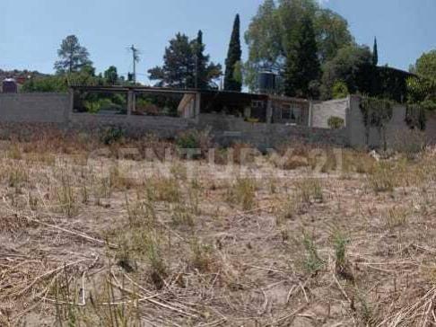 Tepantitla S/N, Texcoco, Bang México 56240, Mexico