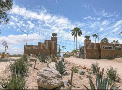 Km 10 3, Tecate, Baja California 21530, Mexico