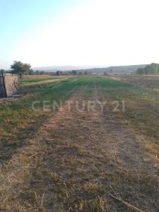 Guadalupe Etla S/N, Guadalupe Etla, Oaxaca 68256, Mexico