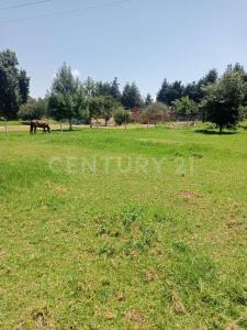 cipres 4 y 5, Zacatlan, Puebla 73310, Mexico