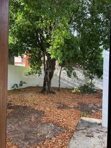 67 423 letra C, Mérida, Yucatan 97000, Messico