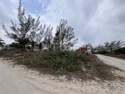 AVENIDA CUARTA S/N, Ciudad Madero, Tamaulipas 89505, México