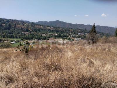 La rosa S/N, Donato Guerra, Estado De México 51030, Mexico