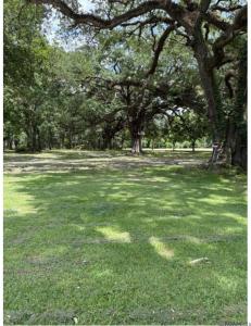 15040 La Hwy 73, Prairieville, Louisiane 70769, États-Unis