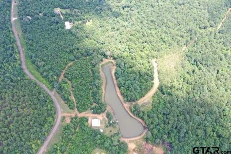 2409 County Road 2303, Lone Star, Texas 75668, USA