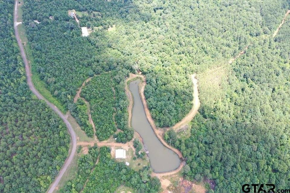 2409 County Road 2303, Lone Star, Техас 75668, Соединенные Штаты