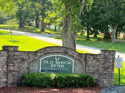 Lot 8 Old Birch Bend, Blairsville, Geórgia 30512, Estados Unidos
