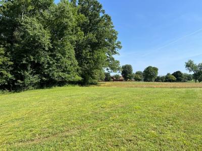 Lot 8 Old Birch Bend, Blairsville, Geórgia 30512, Estados Unidos