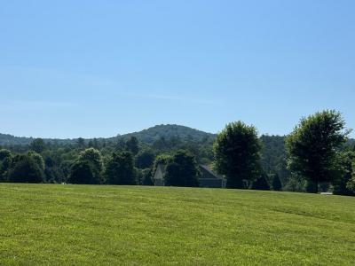 Lot 8 Old Birch Bend, Blairsville, Geórgia 30512, Estados Unidos