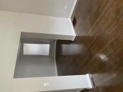 7425 S. Princeton Ave South Unit 1, Chicago, Illinois 60621