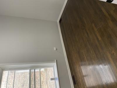 7425 S. Princeton Ave South Unit 1, Chicago, Illinois 60621