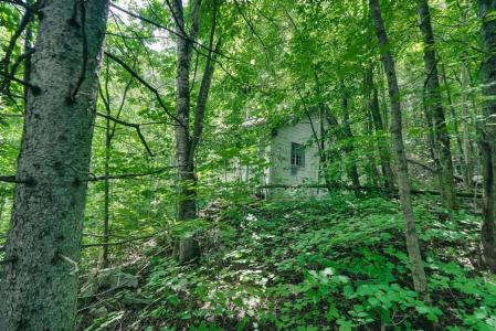 11  Ch. Throop, Chelsea, Quebec J9B 2E5, Canada