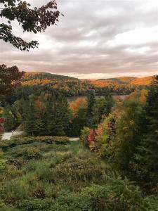 1328 Route 105, Chelsea, Quebec J9B 1P4, Canada