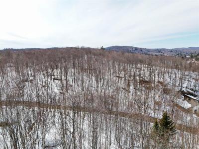 Rue de Düsseldorf, Brownsburg-Chatham, 퀘벡주 J8G 2N7, 캐나다