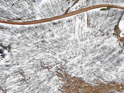 Ch. de Horrem, Brownsburg-Chatham, Quebec J8G 2N7, Canada